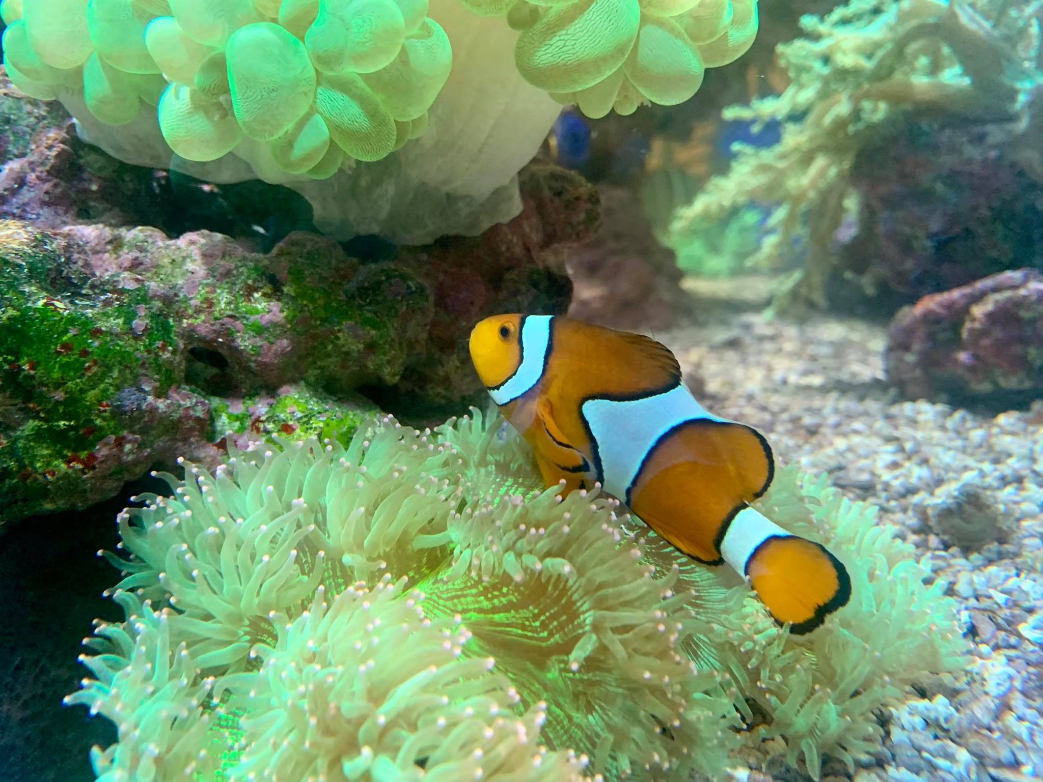 金車生物科技水產養殖研發中心